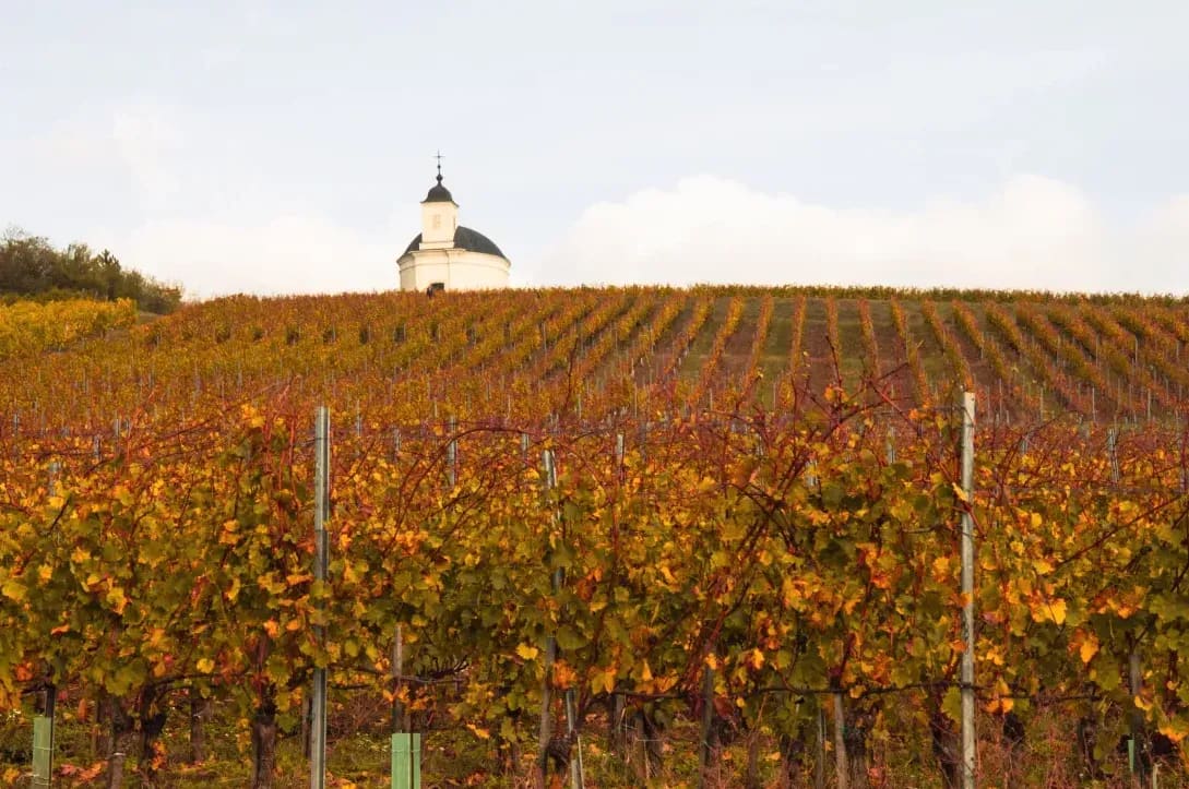 Coteaux d’Argent 12