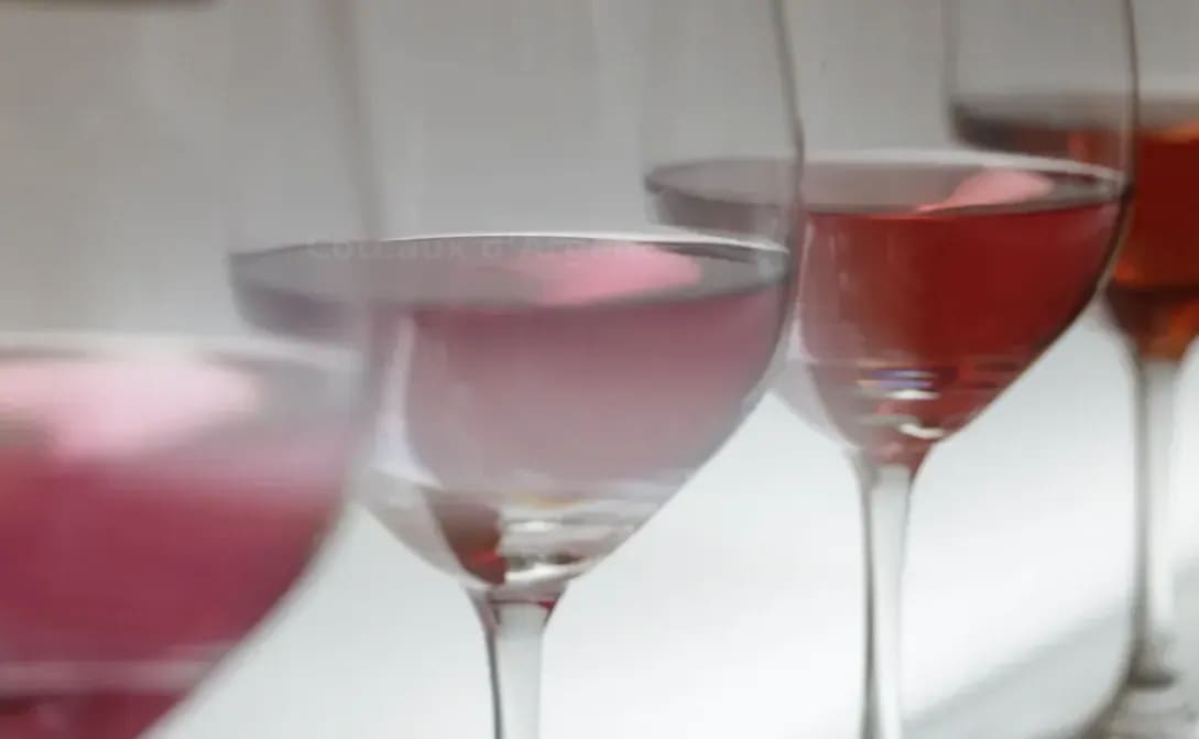Coteaux d’Argent 14