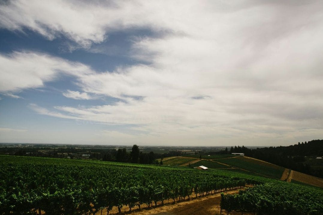 Accords mets et vins pour particuliers et restaurateurs